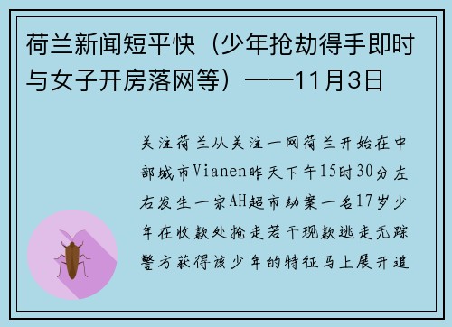 荷兰新闻短平快（少年抢劫得手即时与女子开房落网等）——11月3日